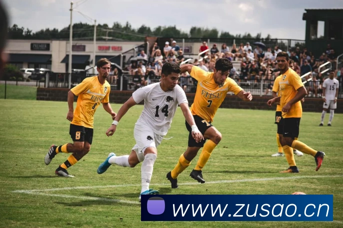 开云网页版在线登录app服务体系